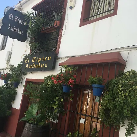 Estepona Apartment *